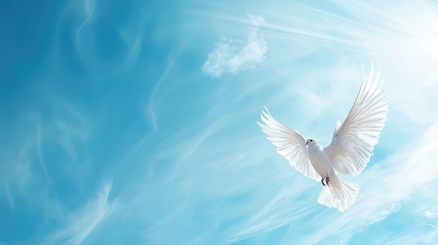 White dove soaring in blue sky symbolizing peace and freedom