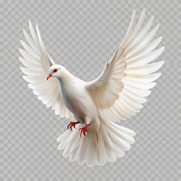 Photo white dove on transparent background