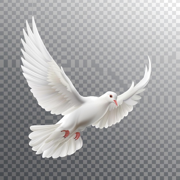 Photo white dove transparent with peace symbols realistic isolated vector illustration