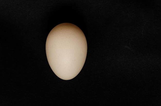 A white egg of brown color on a black background.