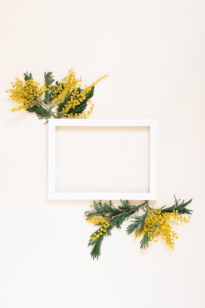 White empty frame with copy space surrounded by mimosa flowers Mockup for a holiday card