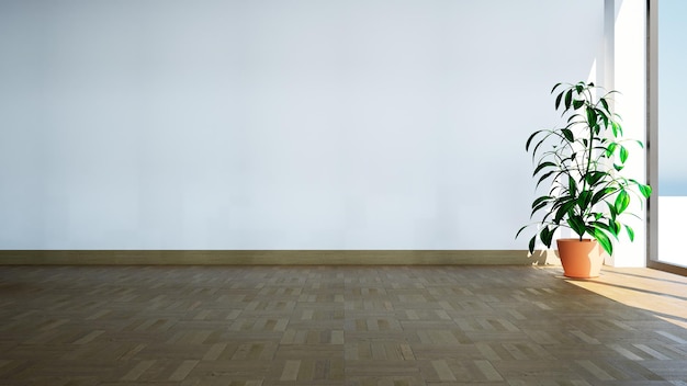 White empty room with plant 3d illustration