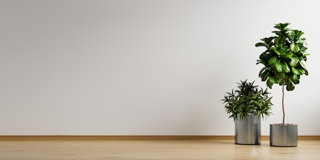 White empty room with plant in living room interior