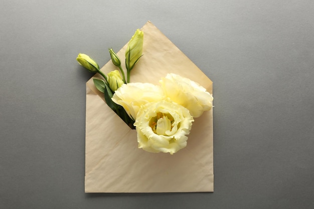 White eustoma in envelope on grey background