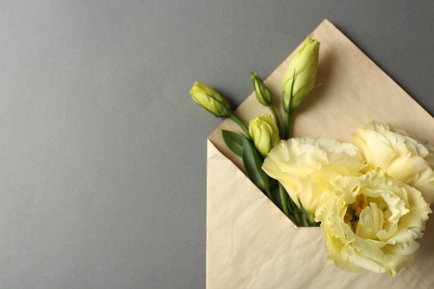 White eustoma in envelope on grey background