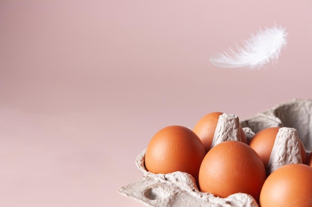 A white feather floats over a carton of chicken eggs, copy space