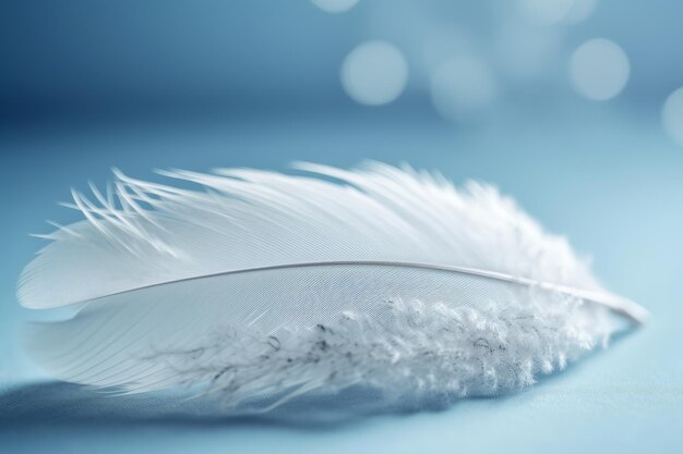 A white feather is laying on a blue background.