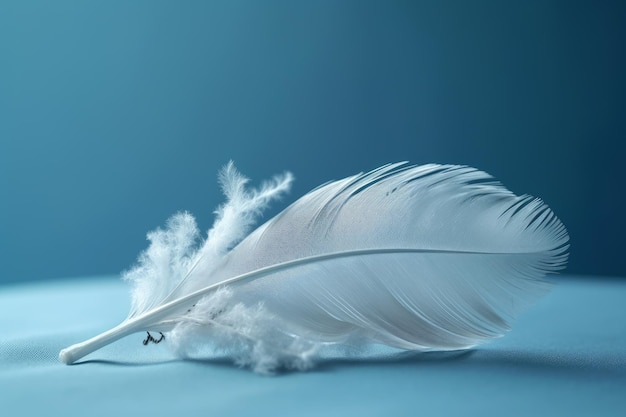 A white feather is laying on a blue background.