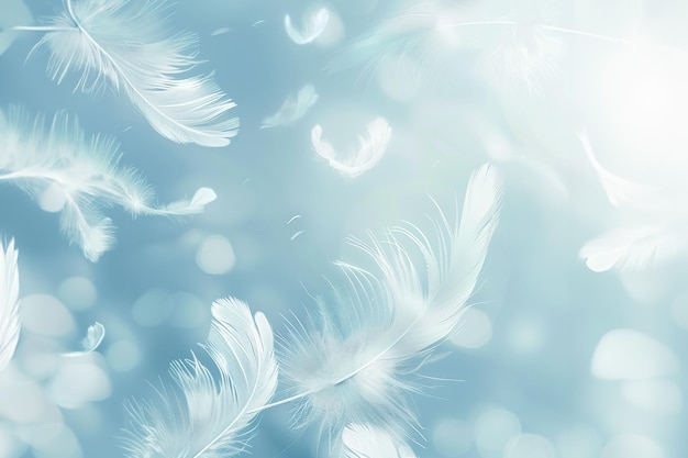 White Feathers Floating in a Soft Blue Sky