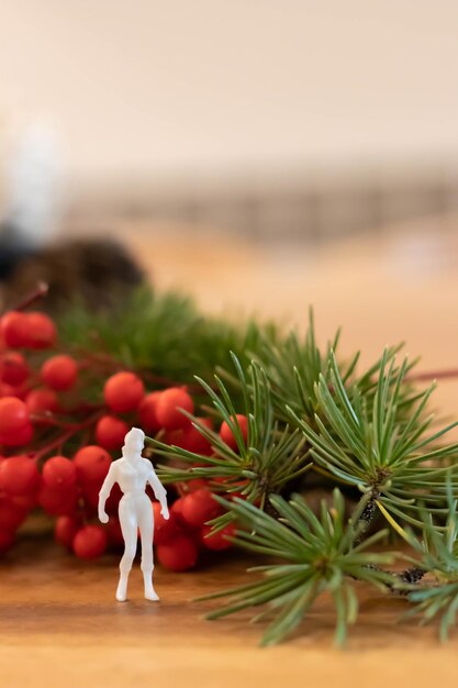 White female toy figure with christmas background