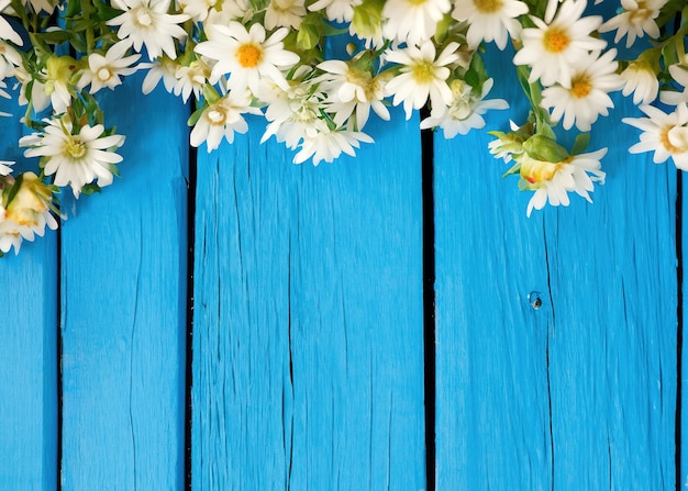 White flower on blue wooden background from top view