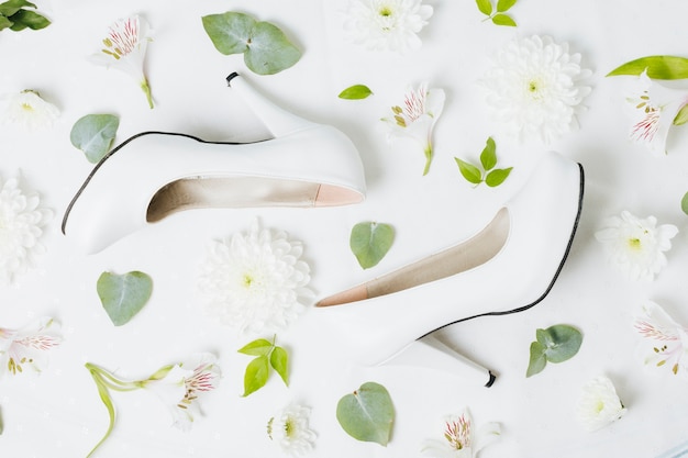 White flower leaves with leaves on white background