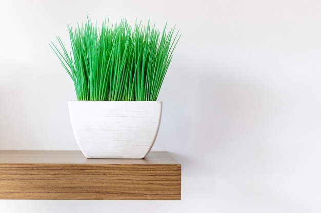 White flower pot with plants on wood on the wall