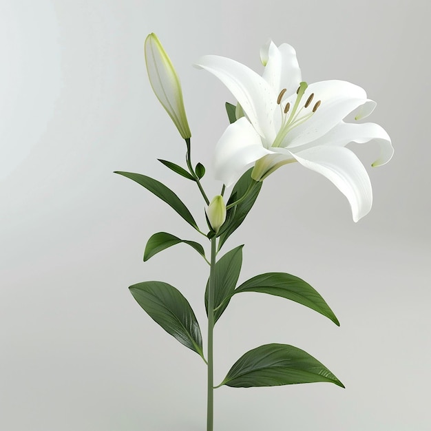 a white flower with the number 3 on it