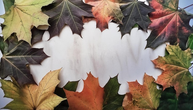 a white flower wreath with autumn leaves on it