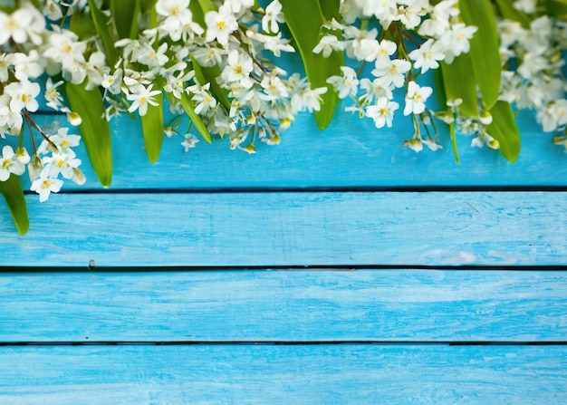 White Flowers on Blue Wooden Serene Floral Photography