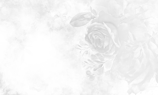 White flowers on a gray background with a white background