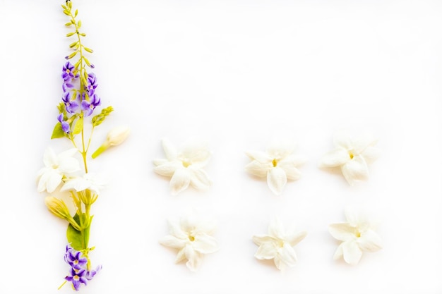 white flowers jasmine local flora arrangement postcard style