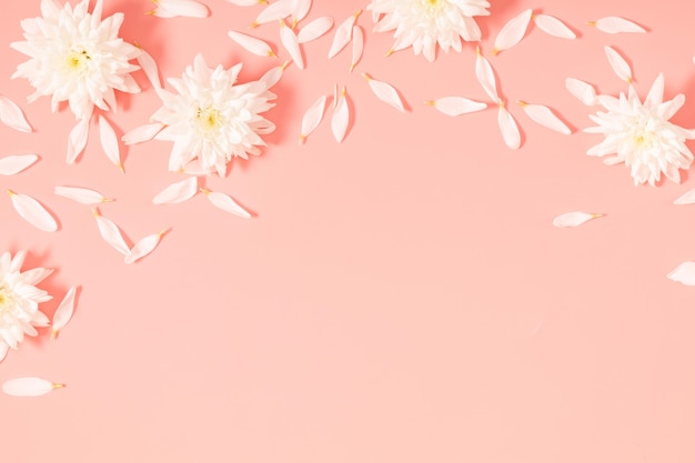 White flowers and petals on pink background Flat lay