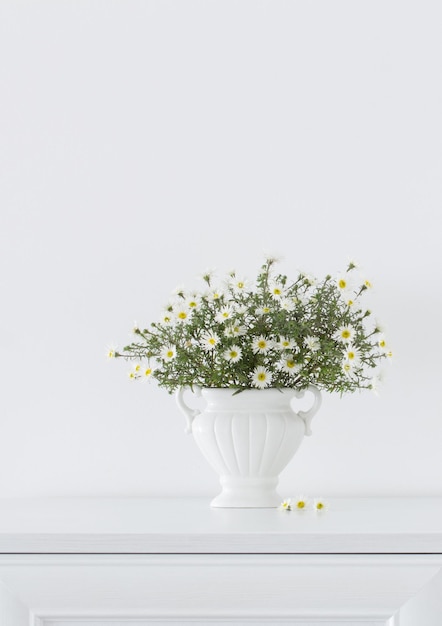 White flowers in white ceramic vase in white interior