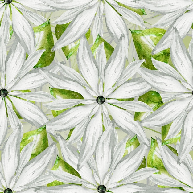 White flowers with large petals in the garden watercolor seamless pattern