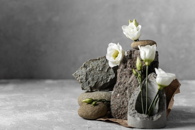 White flowers with rocks and copy space