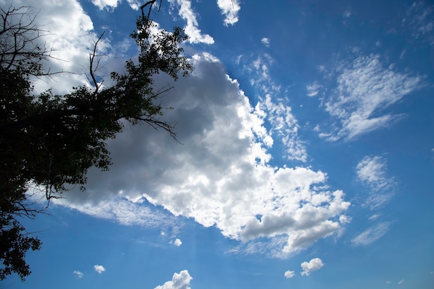 white fluffy clouds on a sunny day in a blue sky on a summer day