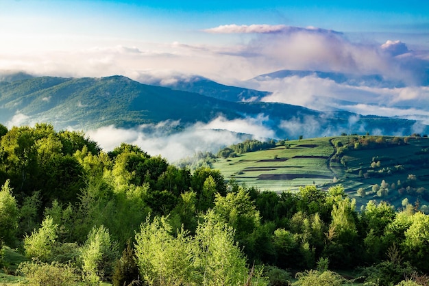 White fog over the mountains from the countryside, sunset light. Landscape of mountains in the fog.