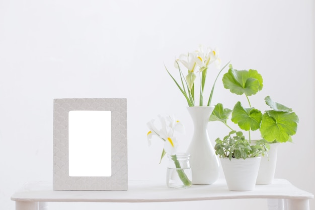 White frame, green plants and spring flowers on shelf on white surface