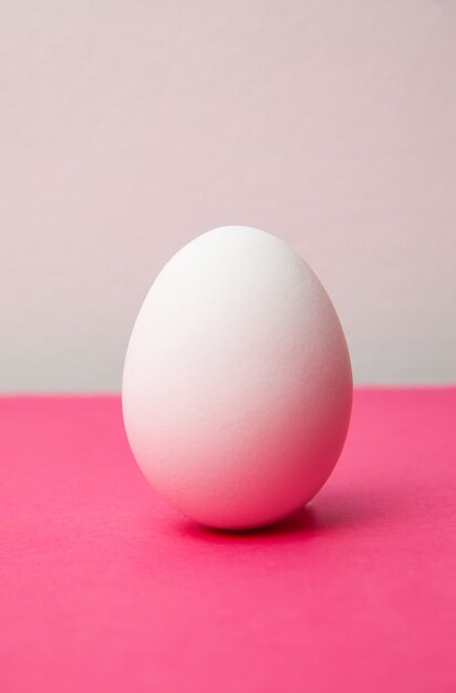 White fresh chicken egg on pink surface