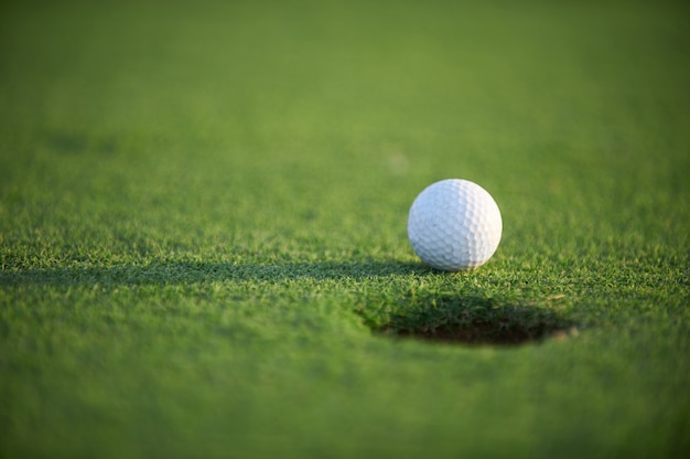 White golf ball on green field close up