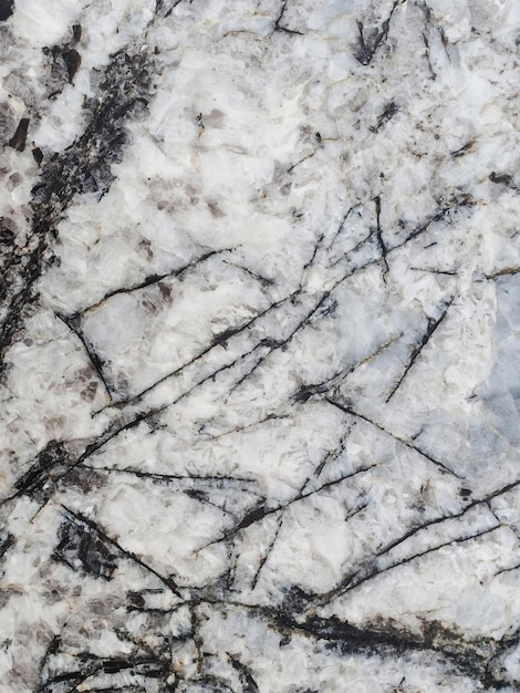 White granite slab with gray spots and stripes