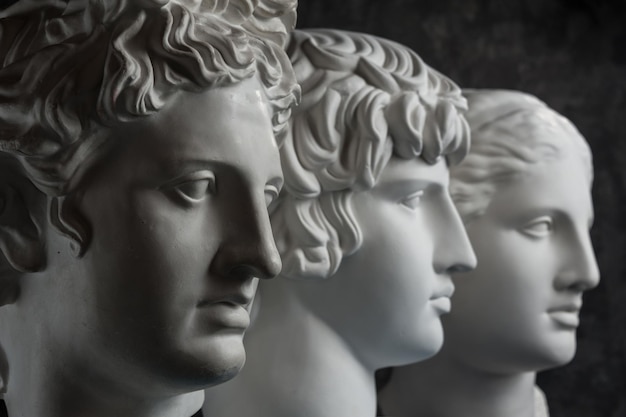 White gypsum copy of ancient statue of Apollo, Antinous and Venus head for artists on a dark textured background. Plaster sculpture of statue face.