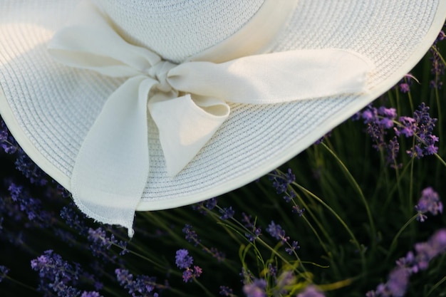 White hat on lavender background