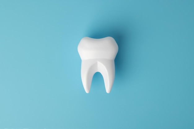 White healthy tooth model on blue background with copy space