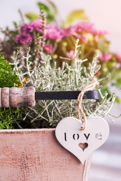 White heart in wooden basket