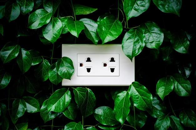 A white home electrical outlet on a leaves wall.