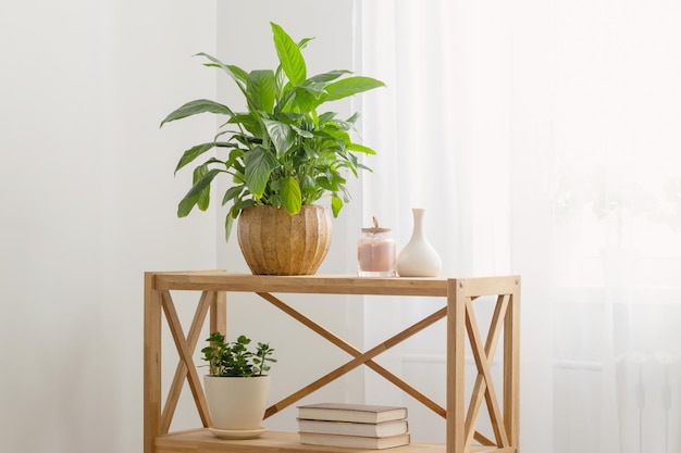 White home interior with houseplants on wooden shelf