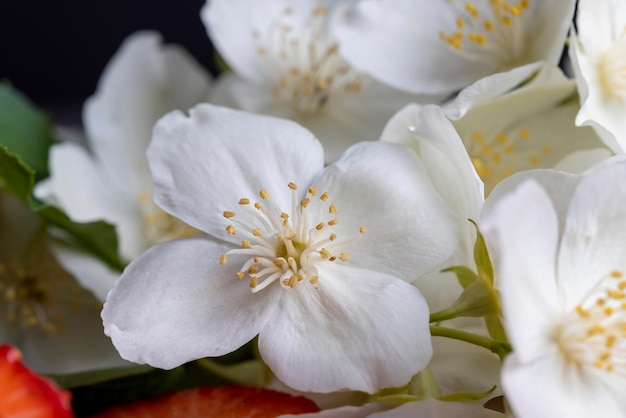 White jasmine flowers used to decorate the indoor wall