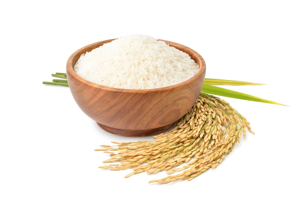 White jasmine rice in wooden bowl with paddy rice isolated on white background.