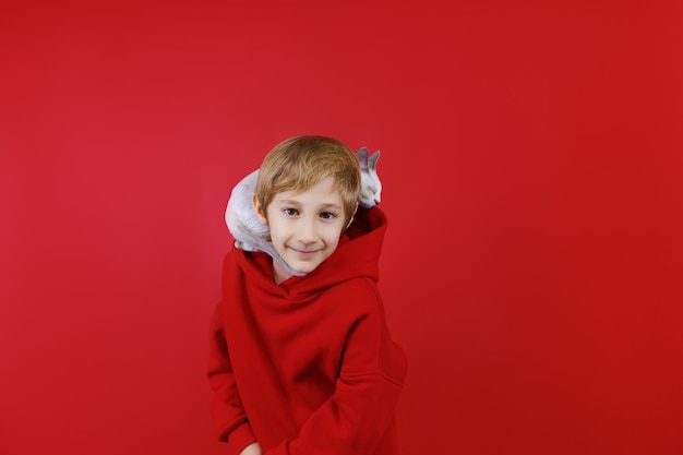 A white kitten climbed into the hood of a boy who stands on a red background