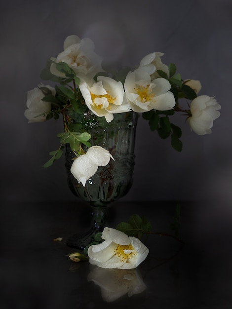 White large rosehip flowers in a glass on a dark background. Copy space.