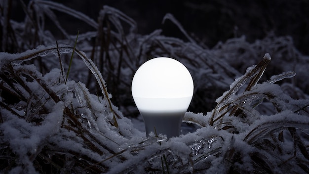 White LED light bulb on soil against natural background in night winter forest