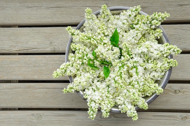 White lilac bowl on a wooden backdrop