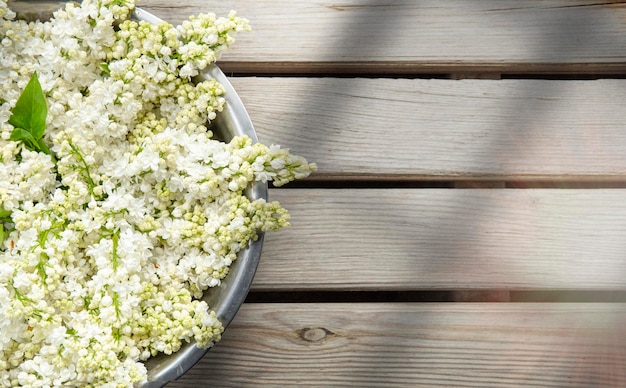 White lilac bowl on a wooden backdrop