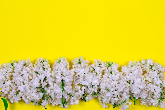 White lilac flowers on a yellow background Minimal floral concept Place for text Floral pattern as a layout for a greeting card