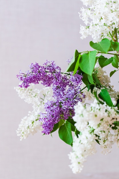 White and lilac lilac, a bouquet of branches of blooming lilac, interior decoration, bouquets, Floristics