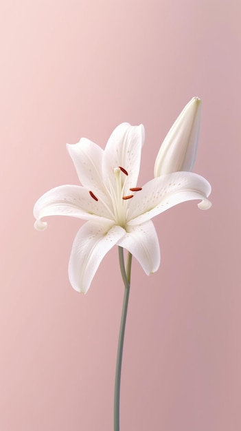 White lily flower copy space blurred background AI Generated