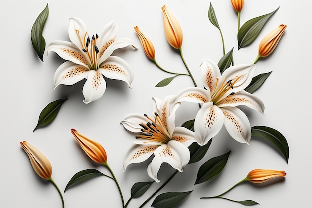 White lily flowers on white background flower pattern copy space and space for text mother39s day greeting card women39s day wedding Generative AI