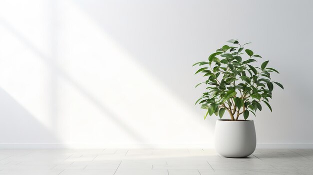 a white living room with greenery